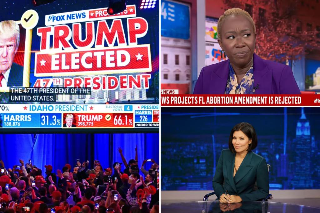 MSNBC's ratings fall after Trump's election win - as more than half of primetime audience flees