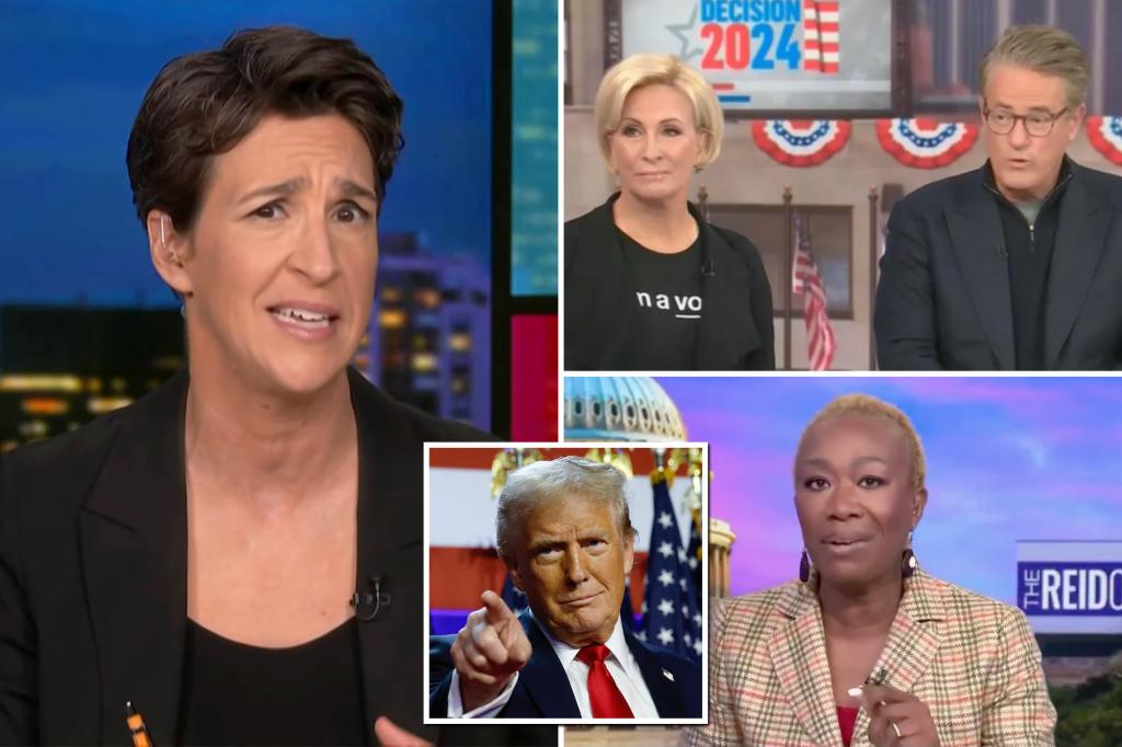 MSNBC sees overall audience nearly halve the day after the election, Rachel Maddow loses over 40% of viewers: assessment report